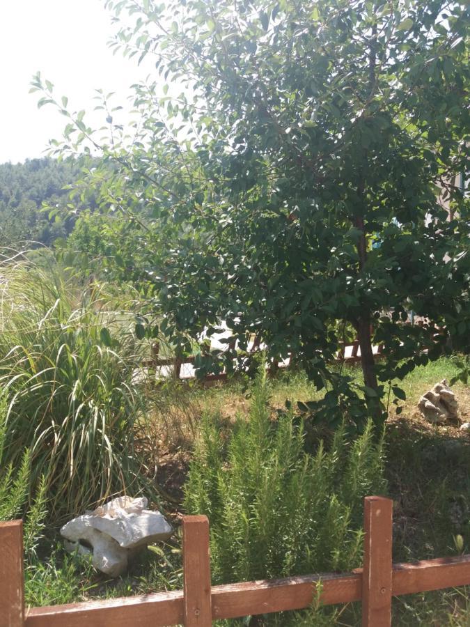 Banin Hotel Skradin Exterior foto